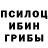 Галлюциногенные грибы мухоморы Erbol Aitjanov